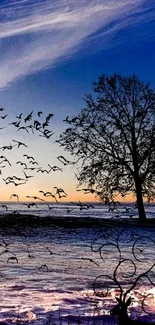 Blue and orange sunset with tree silhouette and flying birds.