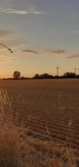 Serene sunset over a rural field with wind turbines in the distance.