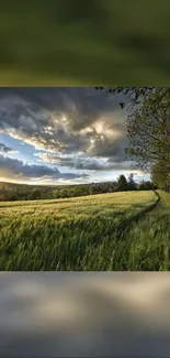 Serene sunset over lush green fields and dramatic clouds.