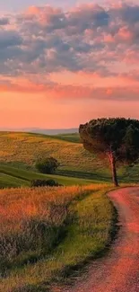 Serene sunset landscape with a lone tree and winding path.