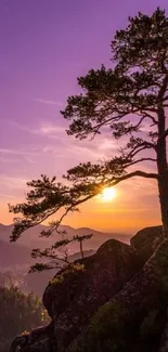 Mountain sunset wallpaper with purple sky and pine tree silhouette.