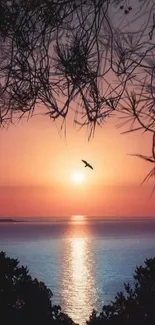 Serene sunset over ocean with silhouetted branches and a flying bird.