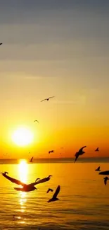 Breathtaking sunset on ocean with birds silhouetted against vibrant sky.