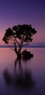 Mobile wallpaper of a serene sunset with a tree reflection.