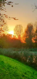 Sunset over a green field with silhouetted trees.