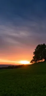 Serene sunset wallpaper with lone tree on a hill and a vibrant sky.