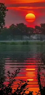 Sunset over lake with serene reflections and tree silhouettes.