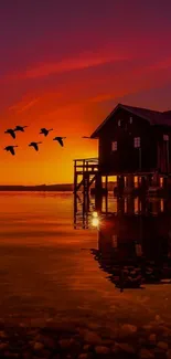 Beautiful sunset over a lake with birds in flight and a waterfront house.