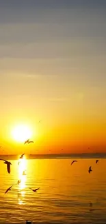 Beautiful sunset over ocean with flying birds and orange glow.