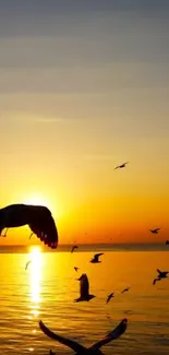 Sunset over ocean with silhouetted birds flying in the golden sky.