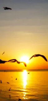 Birds in flight over ocean at sunset with a warm orange sky and reflected water.