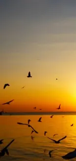 Golden sunset over ocean with birds silhouetted against the sky.