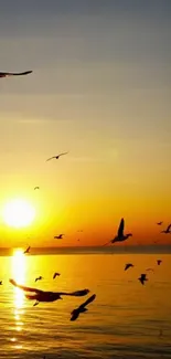 Sunset over ocean with birds flying and vibrant orange sky.