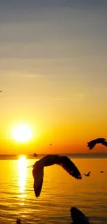 Beautiful golden sunset over ocean with seagulls flying in silhouette.