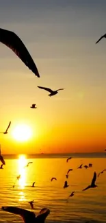 Golden sunset over ocean with birds silhouetted in the sky.