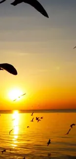 Silhouetted birds flying over an ocean sunset