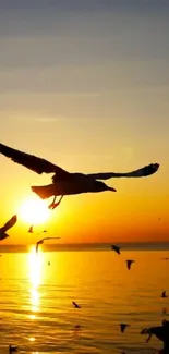 Sunset over ocean with birds in flight.