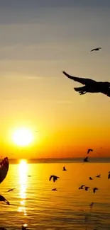 Sunset over ocean with birds in flight.