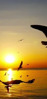 Sunset over ocean with birds silhouetted in the sky.