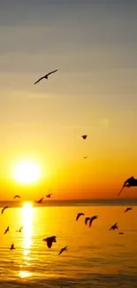 Sunset over ocean with birds flying.