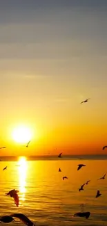 Sunset over ocean with birds flying