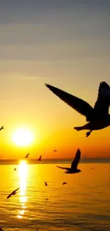 Seagulls silhouetted against a vibrant ocean sunset.