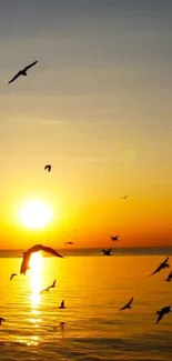 Birds fly across a golden ocean sunset, creating a serene wallpaper view.