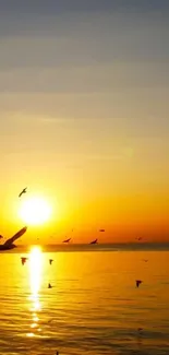 Sunset over ocean with birds flying across.