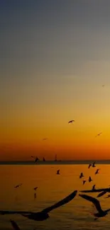 Sunset over ocean with flying birds.