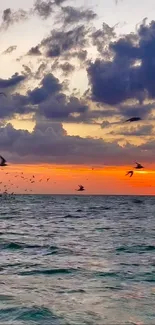 Vibrant ocean sunset with birds and clouds.