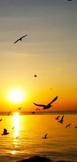 Golden sunset over ocean with birds in flight, creating a serene and peaceful scene.