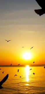 Orange sunset over ocean with silhouettes of flying birds.