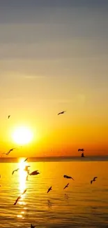 A serene sunset over the ocean with birds silhouetted against vibrant orange.