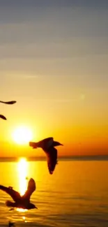 Sunset over ocean with silhouetted birds flying.