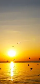 Beautiful sunset over the ocean with birds in flight.