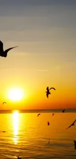 Birds silhouetted against a golden sunset over the ocean.