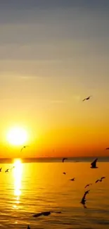 Sunset over ocean with silhouetted birds flying