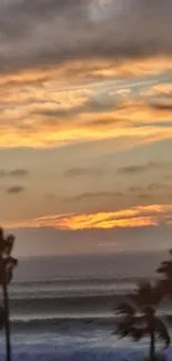 Sunset over ocean with palm trees against a vibrant sky.