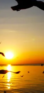 Silhouette of birds flying across a vibrant orange ocean sunset.