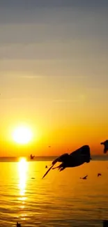 Sunset over ocean with birds silhouetted.