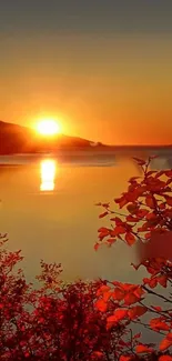 Orange sunset over a tranquil lake with clear reflections and autumnal leaves.