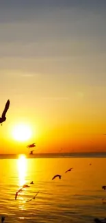 Sunset over ocean with birds flying, casting a warm orange glow.