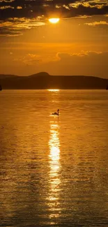 Golden sunset over a calm lake with reflective waters.