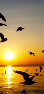 Beautiful sunset over water with birds in flight, casting an orange glow.