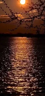 A stunning orange sunset reflecting on calm waters with silhouetted branches.