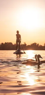 Paddleboarder and swans on a serene lake at sunset with warm glowing skies.