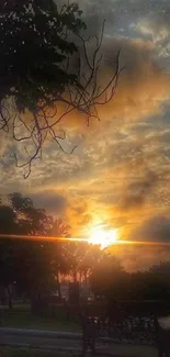 Serene sunset over park with bench and trees.