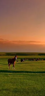 Tranquil sunset over lush green meadows with horses.