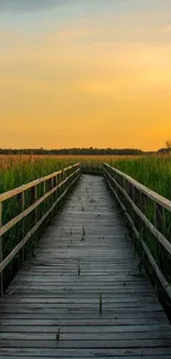 Tranquil wooden pathway through lush green fields at sunset.