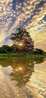 Serene sunset reflection on water with vibrant sky and trees.